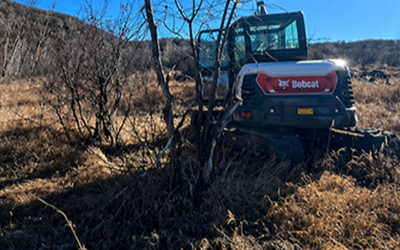 Why Proper Land Clearing Is Essential Before Construction