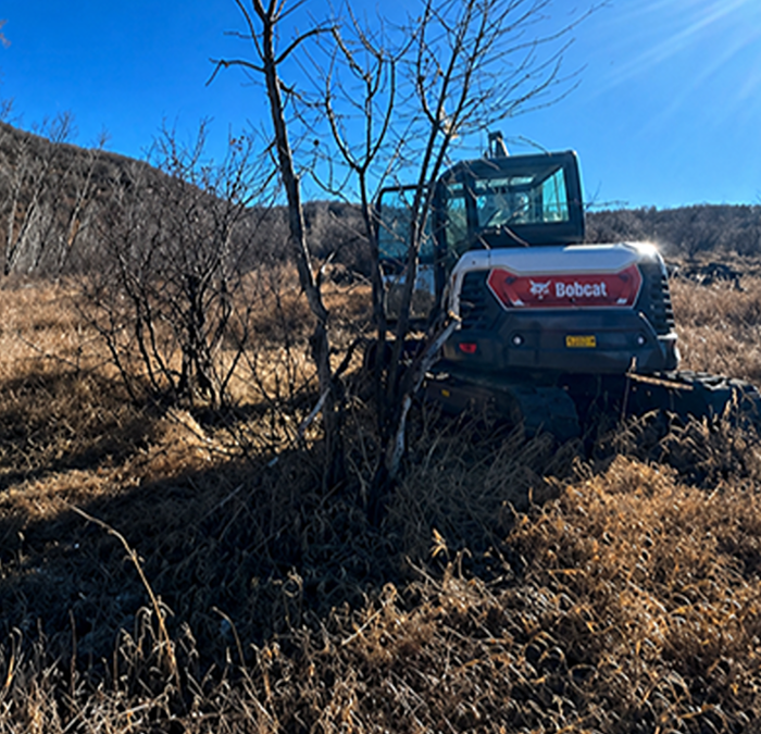 Why Proper Land Clearing Is Essential Before Construction